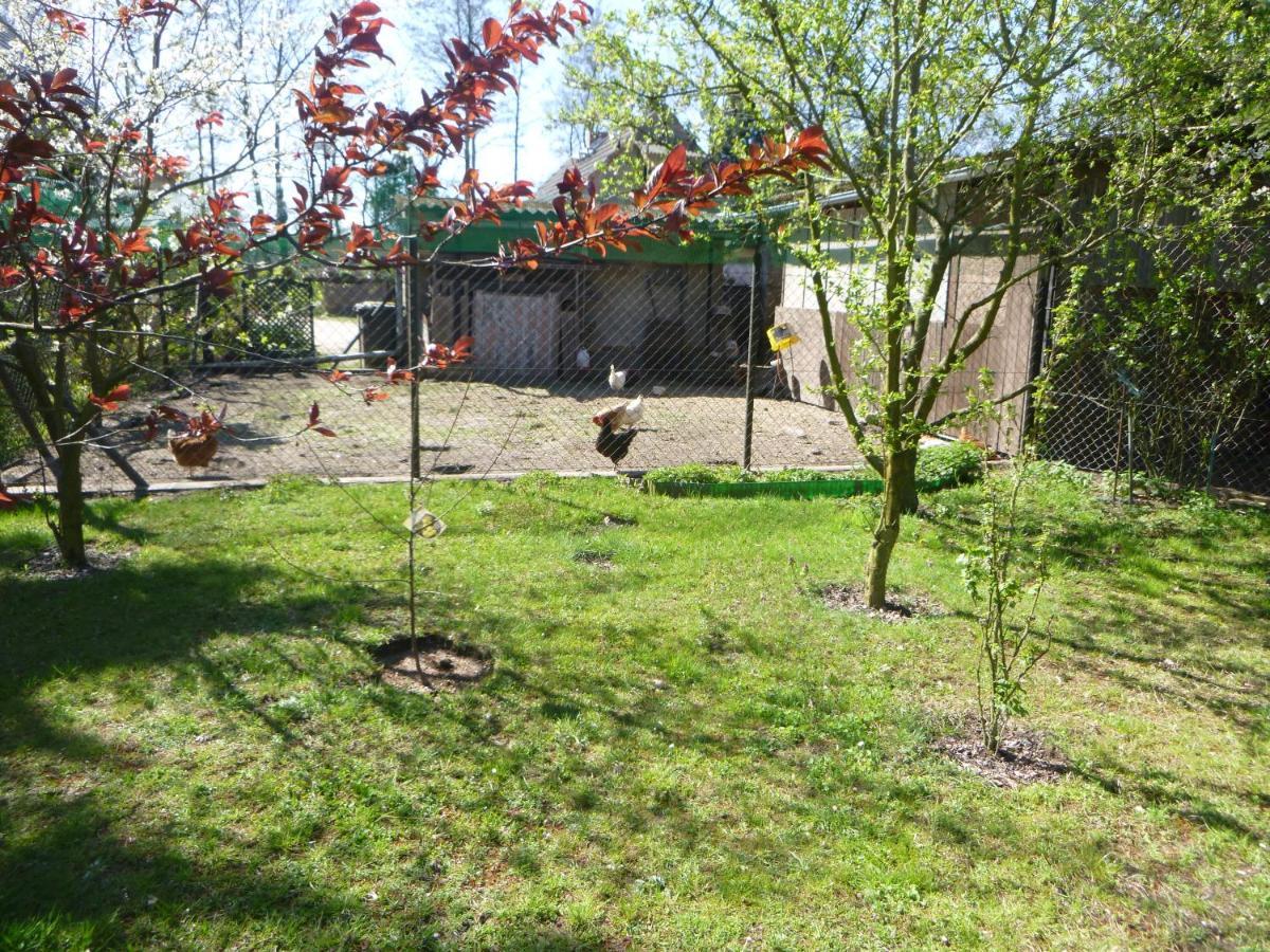 Maja Villa Guhrow Exterior foto